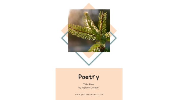 A picture of a pine leaf zoomed in and framed. Poetry by Jayleen Gerace