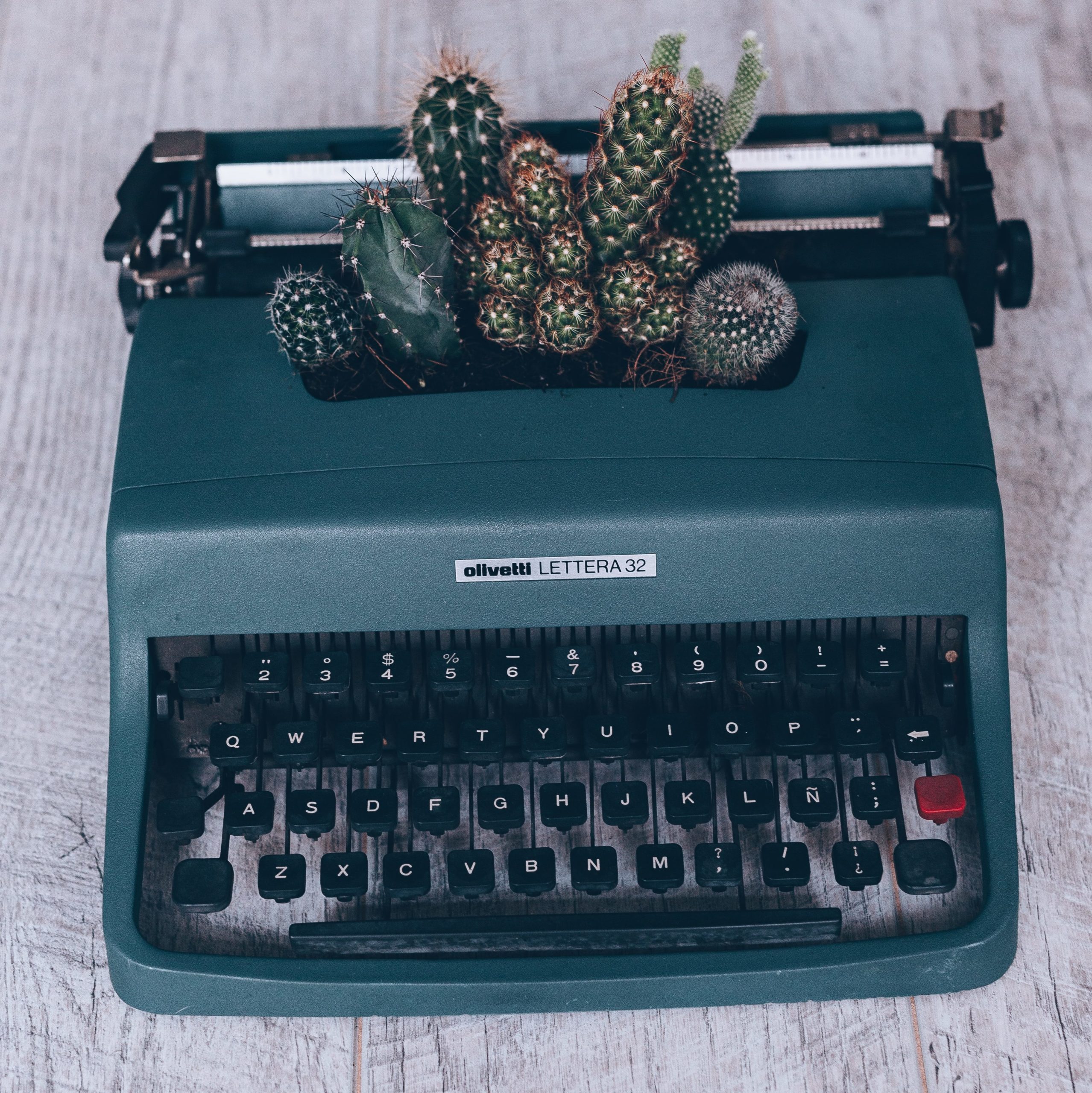 Type writer with small cacti growing out of it.
